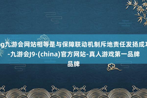 ag九游会网站相等是与保障联动机制斥地责任发扬成功-九游会J