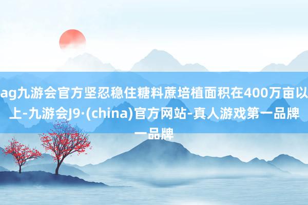 ag九游会官方坚忍稳住糖料蔗培植面积在400万亩以上-九游会
